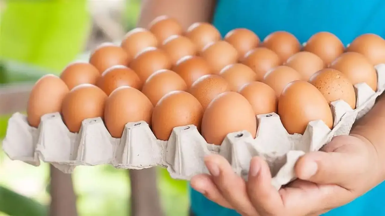 تغيرات يومية في أسعار البيض داخل الأسواق المصرية الأربعاء 11 مارس